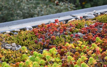 the cost of Folkington green roof installation