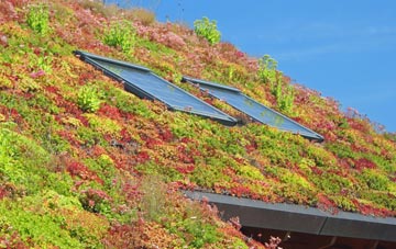 Folkington living roof systems